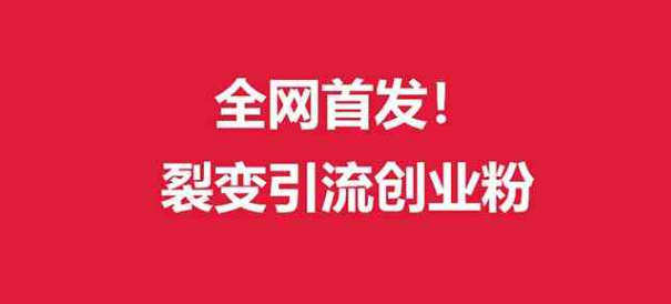 图片[1]-（全网首发）外面收费几千的裂变引流高质量创业粉_实操-晓月资源网