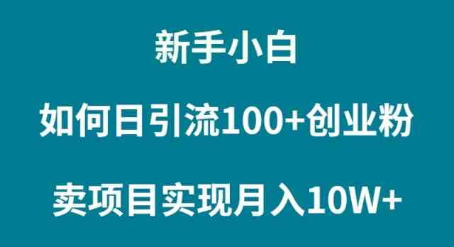 （9556期）新手小白如何通过卖项目实现月入10W 