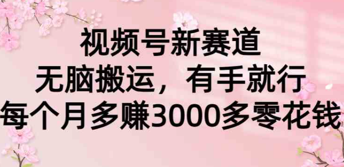 图片[1]-视频号新赛道，无脑搬运，有手就行，每个月多赚3000多零花钱_项目-晓月资源网