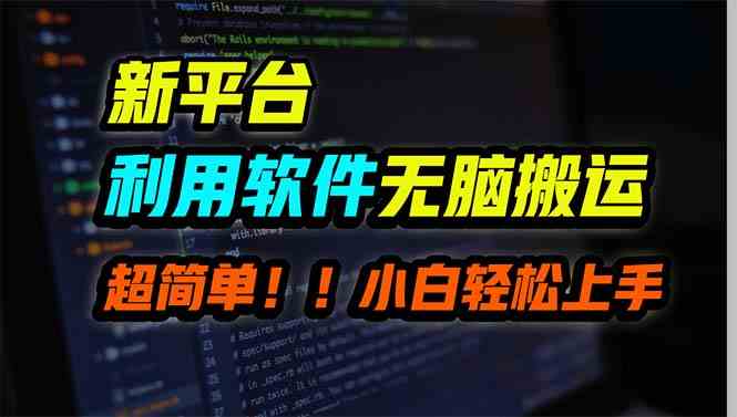 （9745期）新平台用软件无脑搬运，月赚10000 ，小白也能轻松上手