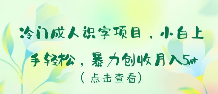 成人识字项目揭秘，轻松上手月入五万 