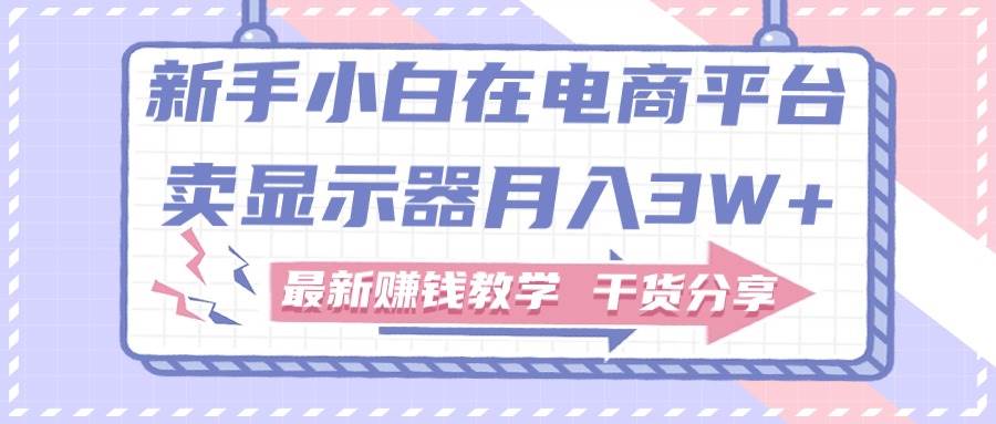 新手小白如何做到在电商平台卖显示器月入3W ，最新赚钱教学干货分享