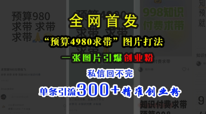 小红书“预算4980带我飞”图片打法，一张图片引爆创业粉，私信回不完，单条引流300 精准创业粉