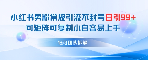 小红书男粉常规引流不封号日引99 变现简单 可矩阵可复制小白容易上手