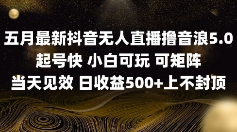 2025五月最新无人直播撸音浪单日产出5张 实操教程【揭秘】