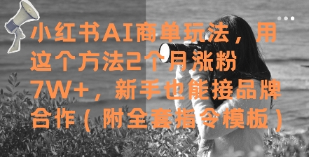 小红书AI商单玩法，用这个方法2个月涨粉7W ，新手也能接品牌合作(附全套指令模板)