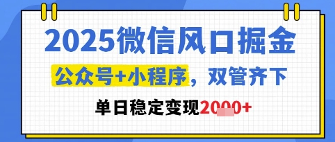 2025微信风口掘金，公众号 小程序双管齐下，单日稳定变现1k 【揭秘】
