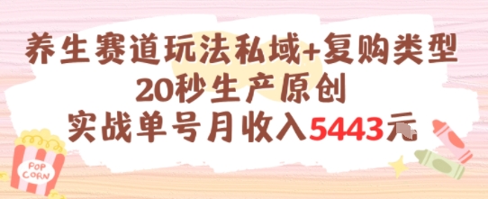 养生赛道玩法私域 复购类型，20秒生产原创实战单号月收入5k 
