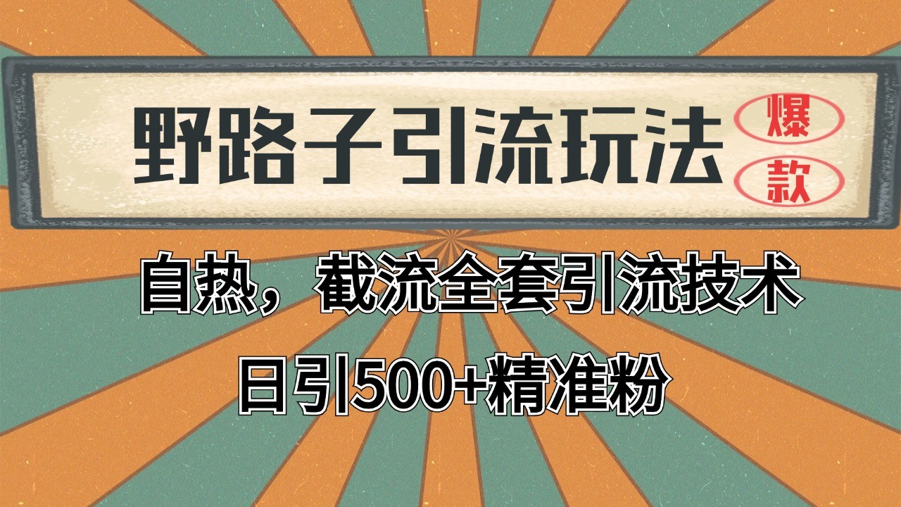 图片[1]-2024首发野路子引流玩法截流自热全平台打法，全自动引流【日引2000+精准客户】-晓月资源网