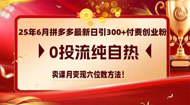 图片[1]-25年6月拼多多最新日引300+付费创业粉，0投流纯自热 卖课月变现六位数方法-晓月资源网
