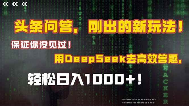图片[1]-头条问答，刚出的新玩法！保证你没见过！结合Deepseek高效答题，日入1000+-晓月资源网