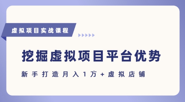 抓住虚拟项目各平台优势，新手轻松月入1W (给出具体建议)