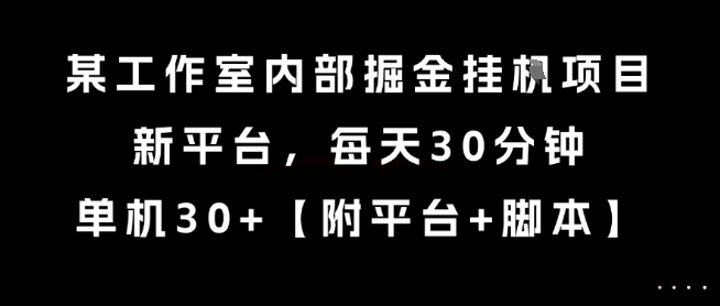 某工作室内部掘金挂G项目，新平台，每天30分钟，单机30 【揭秘】