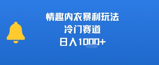 情趣内衣暴利玩法，冷门赛道，日入1k 
