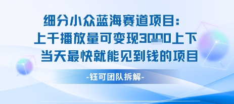 小众蓝海赛道项目：当天变现1k 适合新手操作  适合长期玩