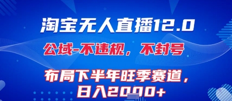 淘宝无人直播12.0，不封号，不违规，布局下半年旺季赛道，日入1k (独家技术)【揭秘】