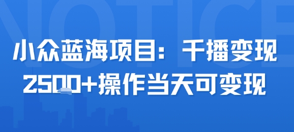 小众蓝海项目，千播变现2.5k 操作当天可变现