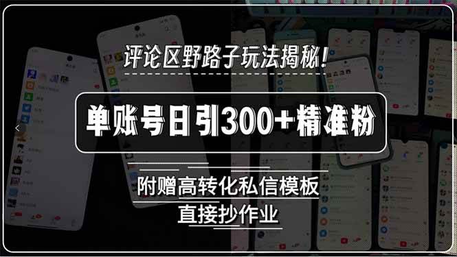 图片[1]-评论区野路子玩法揭秘！单账号日引300+精准粉，附赠高转化私信模板，直…-晓月资源网