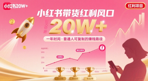 一年时间靠小红书带货项目年入20w ，最不能错的大红利项目