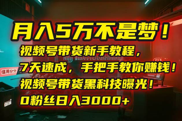 图片[1]-月入5万不是梦！视频号带货新手教程，7天速成，手把手教你赚钱！视频号…-晓月资源网