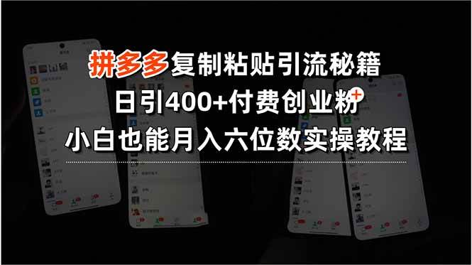 图片[1]-拼多多复制粘贴引流秘籍，日引400+付费创业粉，小白也能月入六位数实操…-晓月资源网
