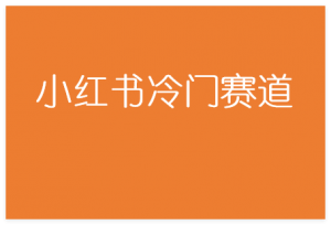 图片[1]-小红书的这个赛道，流量真是太好了，我这个月已经赚3W+-晓月资源网