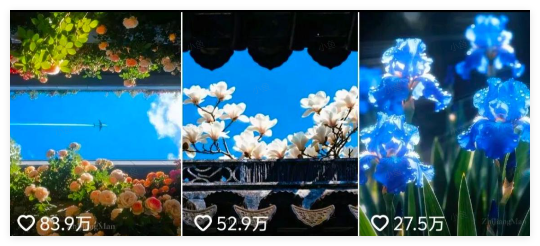 图片[2]-AI绽放治愈力！百万点赞的电子花朵，化身你的心灵布洛芬-晓月资源网