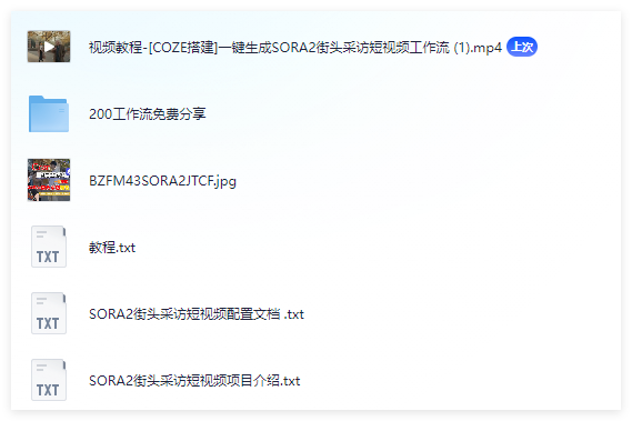 图片[2]-Coze扣子智能体一键生成“SORA2街头采访短视频”教程-晓月资源网