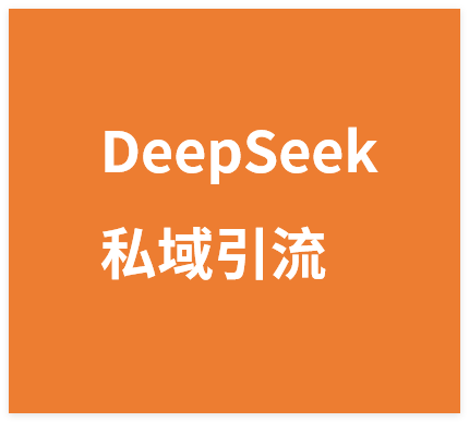 全网首发(限时删)精准打击:价值3980的DeepSeek私域引流实操课,小白实操无门槛,日引精准粉300+-晓月资源网