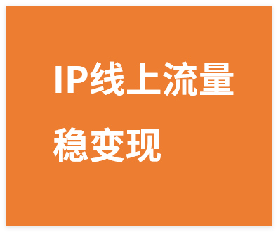 IP线上流量特训营，手把手教你搞流量、做IP、稳变现-晓月资源网