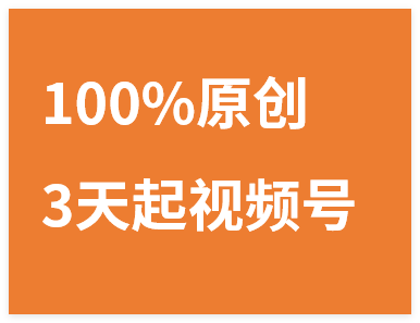 100%原创，3天起视频号，视频号当下最稳最容易出效果赛道，收益1k+-晓月资源网