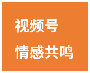 图片[1]-视频号情感共鸣新玩法，操作简单，流量大，制作全流程教程-晓月资源网